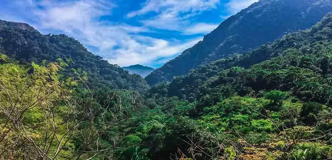landscape