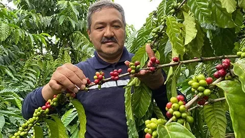 Coffee farmer
