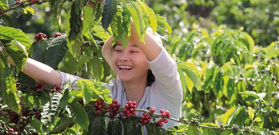 female coffee farmer