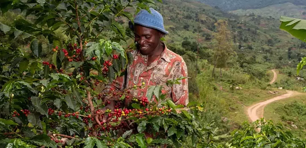 coffee farmer