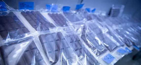 The 700 chocolate bars that could help save tonnes of packaging