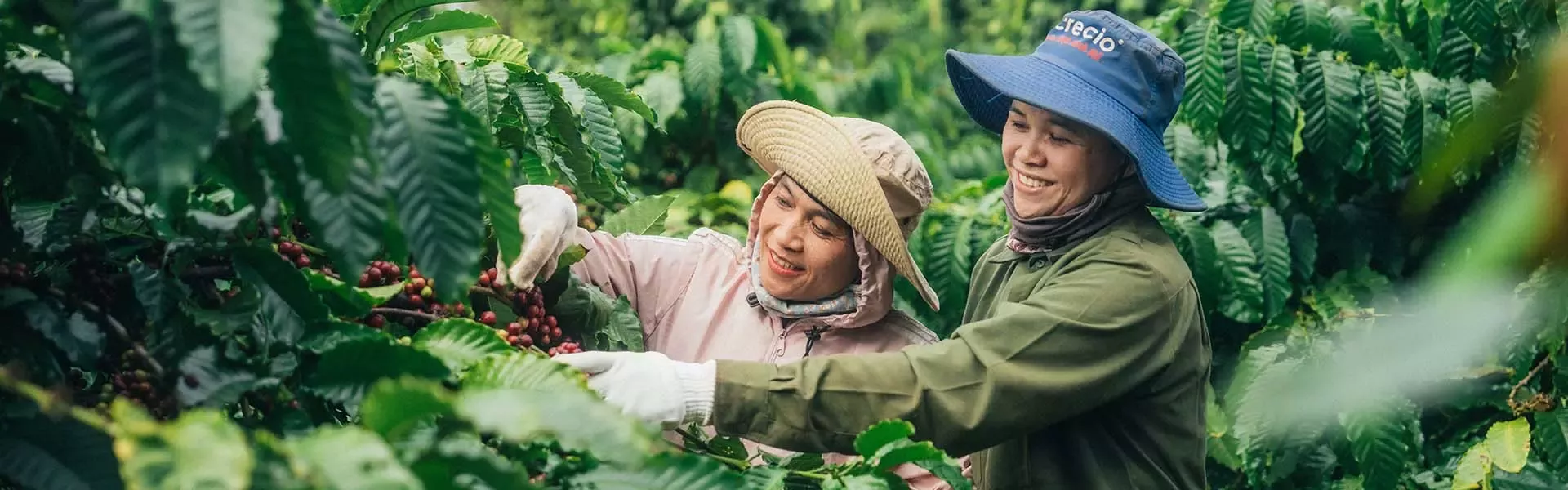 coffee farmers