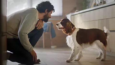 Man and his dog