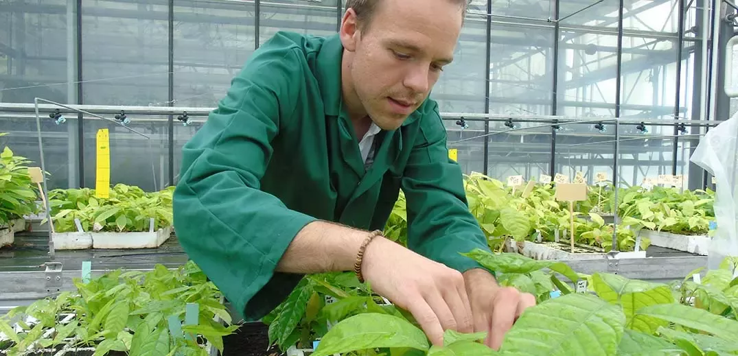 Nestlé Institute of Agricultural Sciences