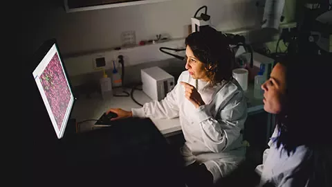 Scientists working