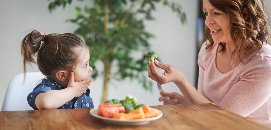 How to Plan Balanced Meals and Snacks for Your Growing Toddler How to Plan Balanced Meals and Snacks for Your Growing Toddler