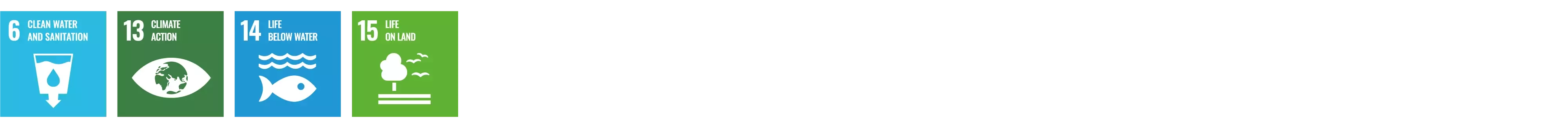 SDG 6,13,14,15