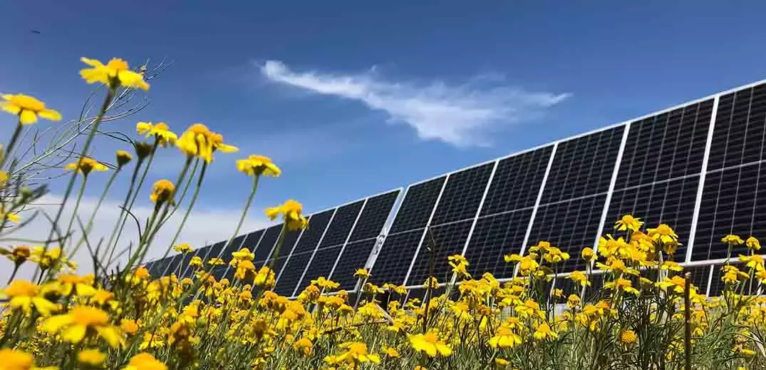 solar energy