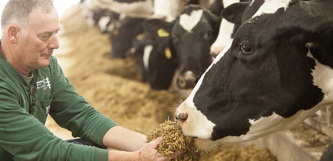 dairy farmer