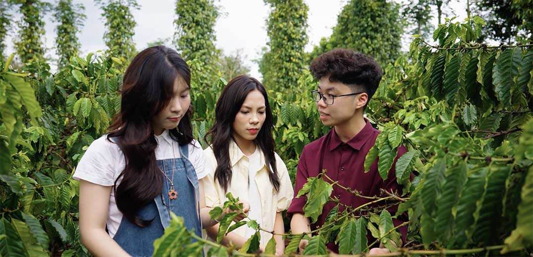 Students learning sustainable coffee farming practices in a coffee plantation
